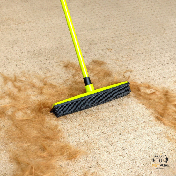 Pet Hair & Fur removal Broom
