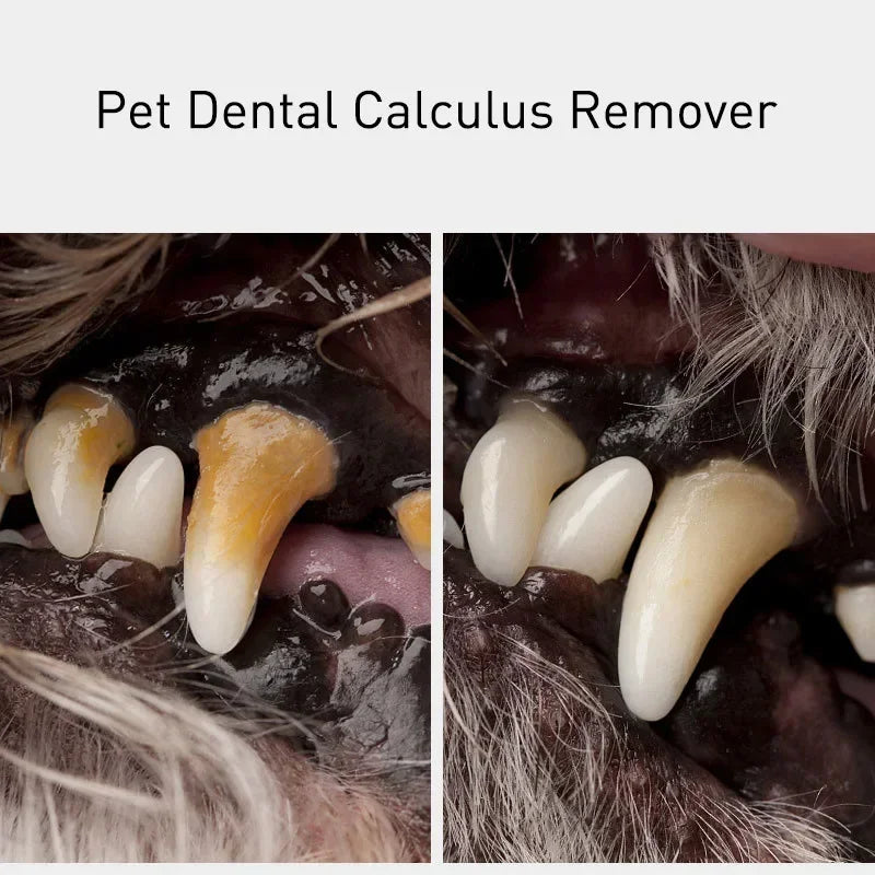 [[{"value":"All products"}]] - [[{"value":"PetPure"}]]